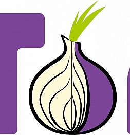 Известное приложение Tor Browser теперь доступно и на Android