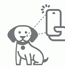 Китайские разработчики выпустили приложение для поиска собак по отпечатку носа