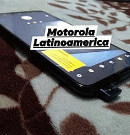 Неизвестный смартфон от Motorola появился на живых фотографиях. Всплывающая камера, дактилоскопический сенсор с подсветкой и шикарный цвет