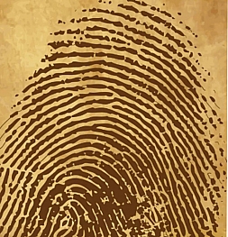 Технология определения возраста отпечатка пальца поможет поймать преступников дающих ложные показания