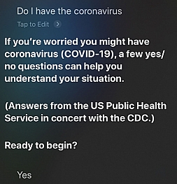 Siri научили проводить тест на коронавирус. Вопросы не сложные!