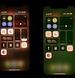 iPhone 11 поколения пострадали от зеленого экрана