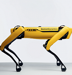 Boston Dynamics начал продажи собаки-робота Spot. Всего за 74 500 $. Купить может любой желающий