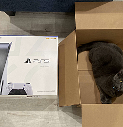 Amazon разбирается в том, почему покупателям PlayStation 5 приехали коробки с едой для кошек