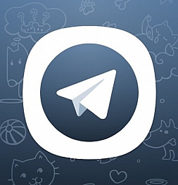 Павел Дуров подтвердил появление платной подписки в Telegram
