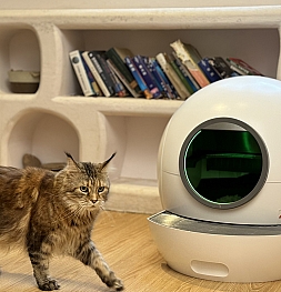 Кошачья гигиена на новом уровне: AmiCura выпускает интеллектуальный лоток для кошек