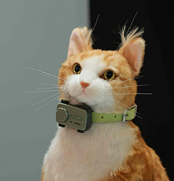 PetPhone - первый в мире смартфон для домашних животных: революция в мире связи на MWC 2025